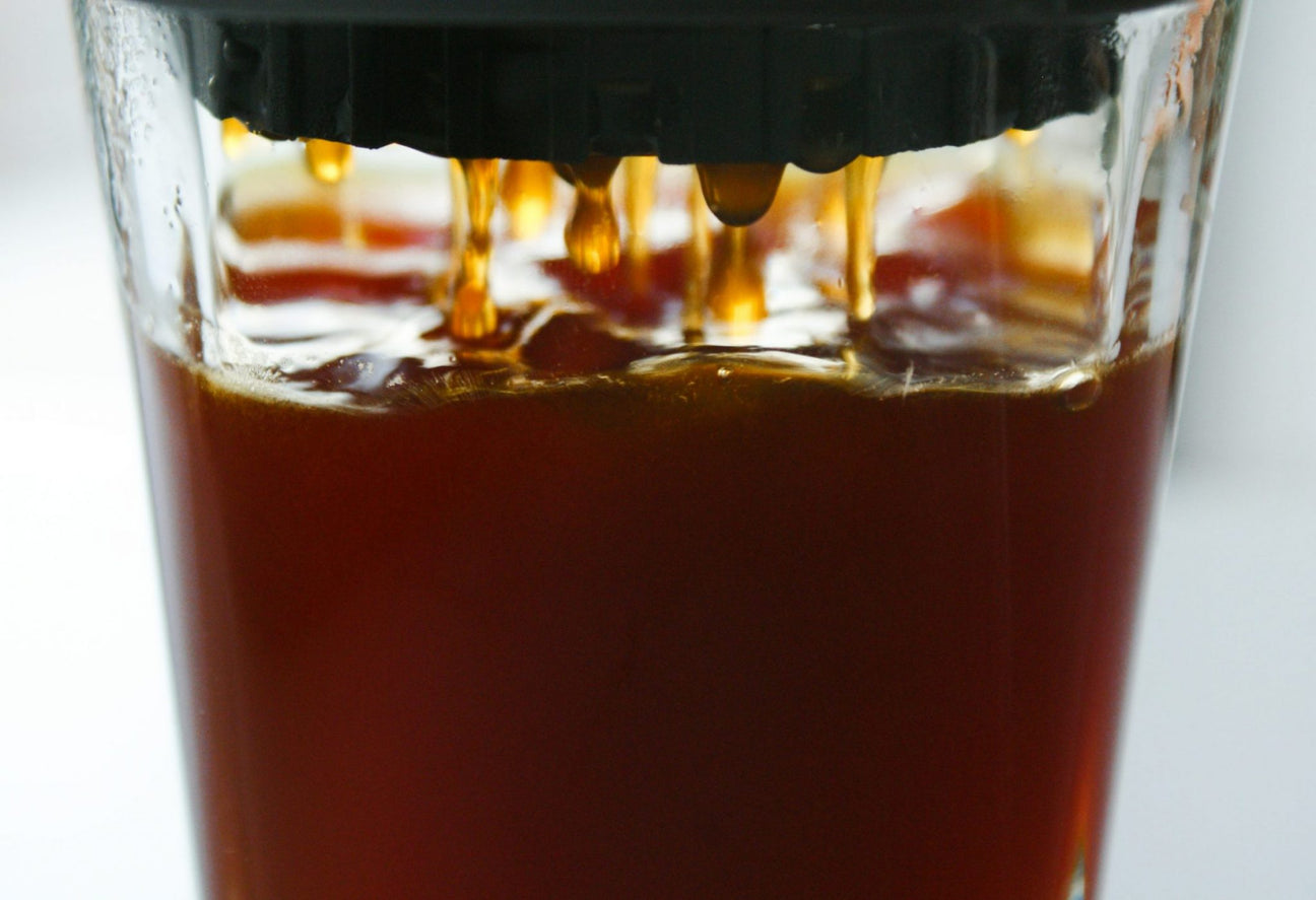 kawa - coffee plant - coffee republic