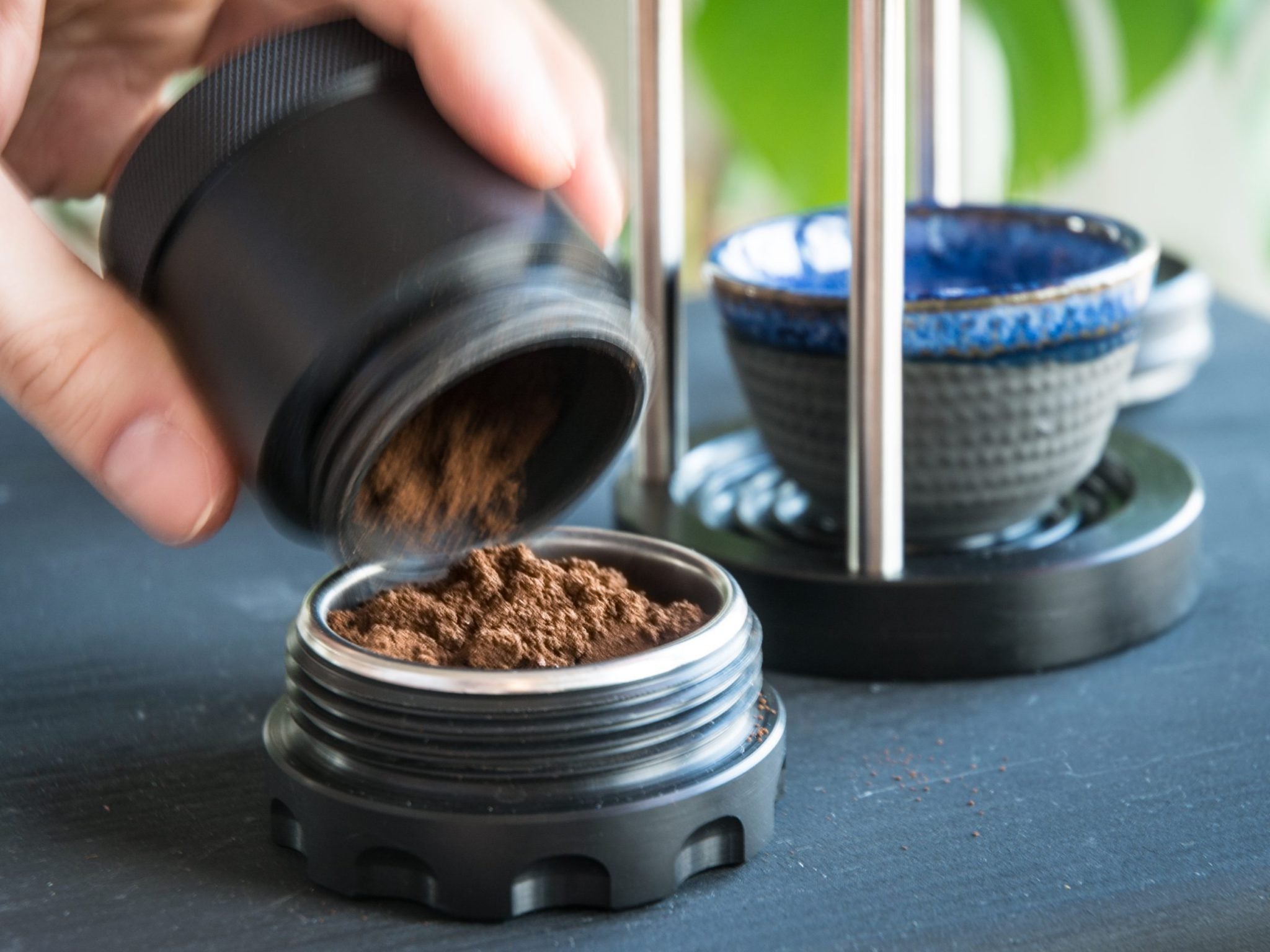 kawa - coffee plant - zaparzacz do espresso - kazak