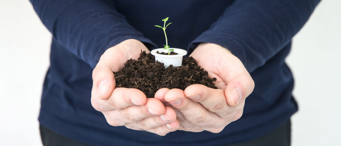 Kawa w kapsułkach kompostowalnych do Nespresso