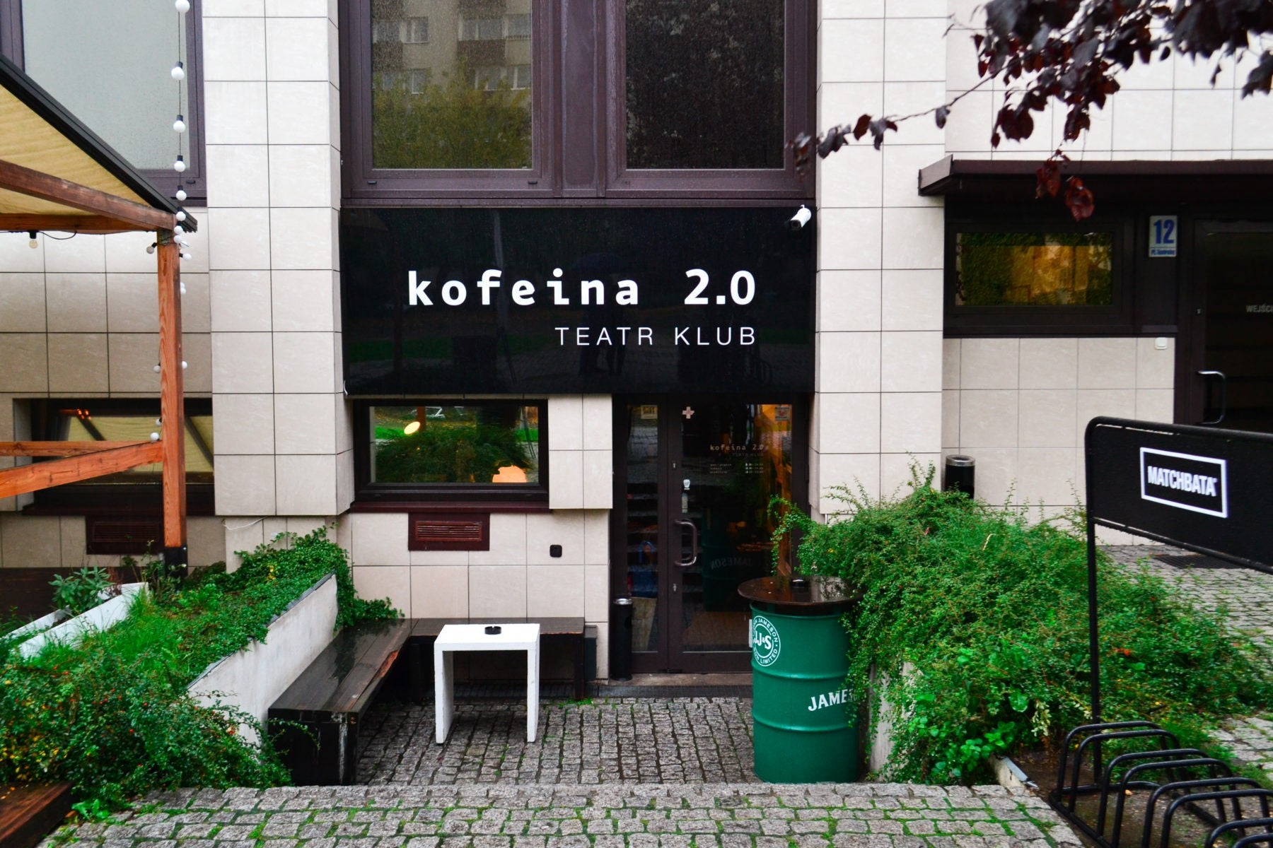 kawa - kofeina - opole - coffee plant