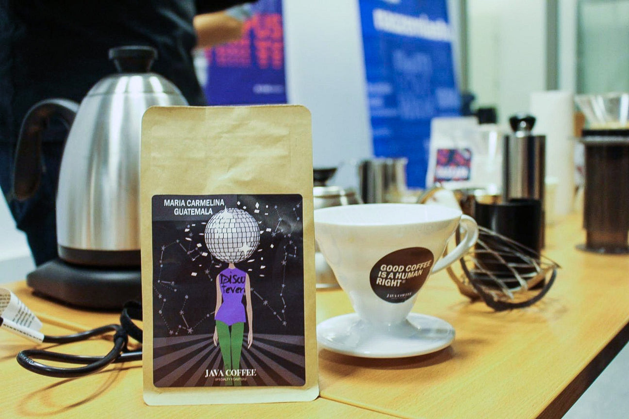 kawa - coffee plant - warsztaty o kawie