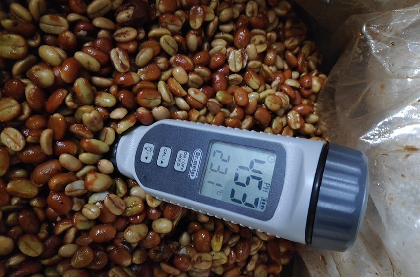 Obróbka kawy a smak w filiżance