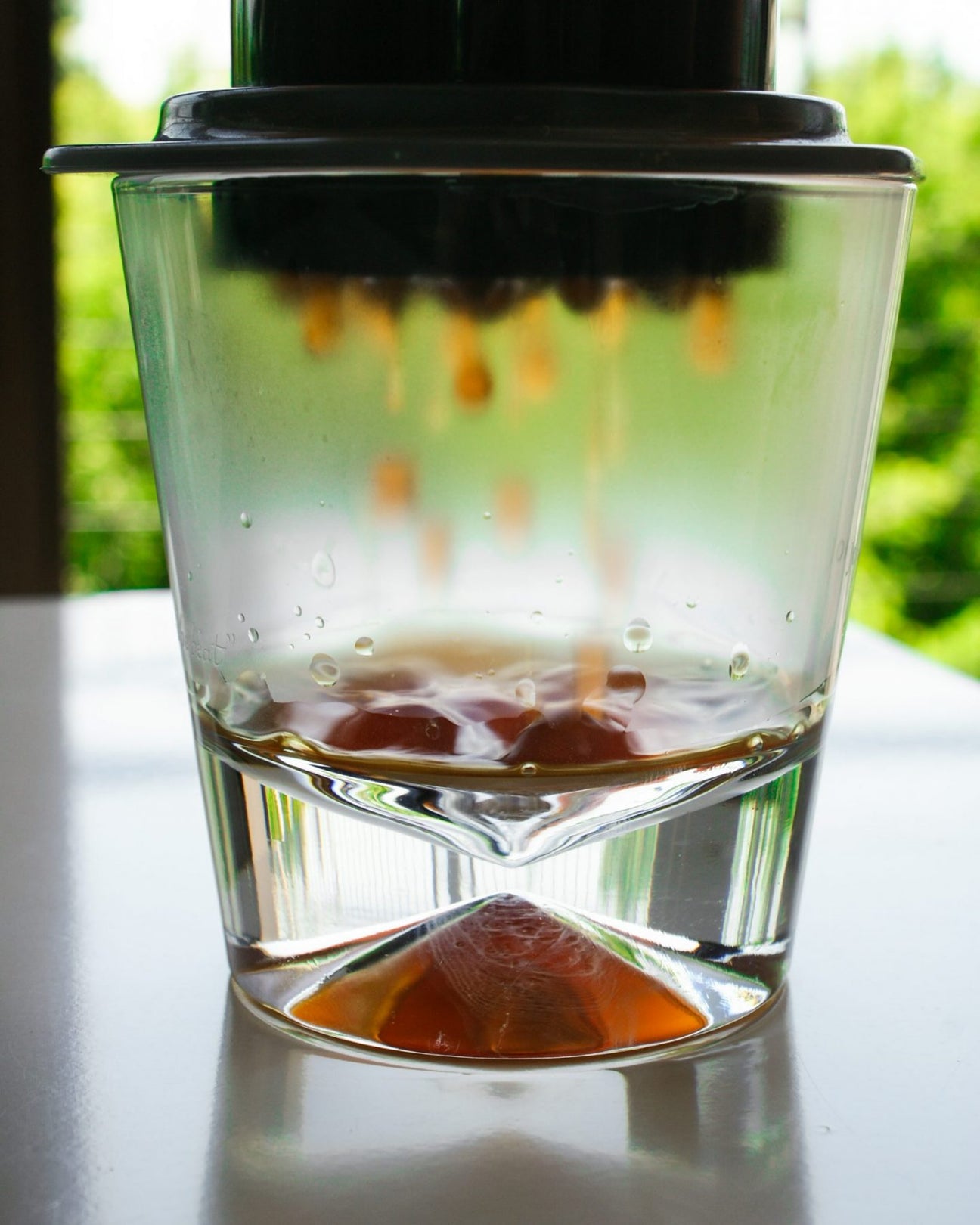 hard beans - coffee plant - kawa