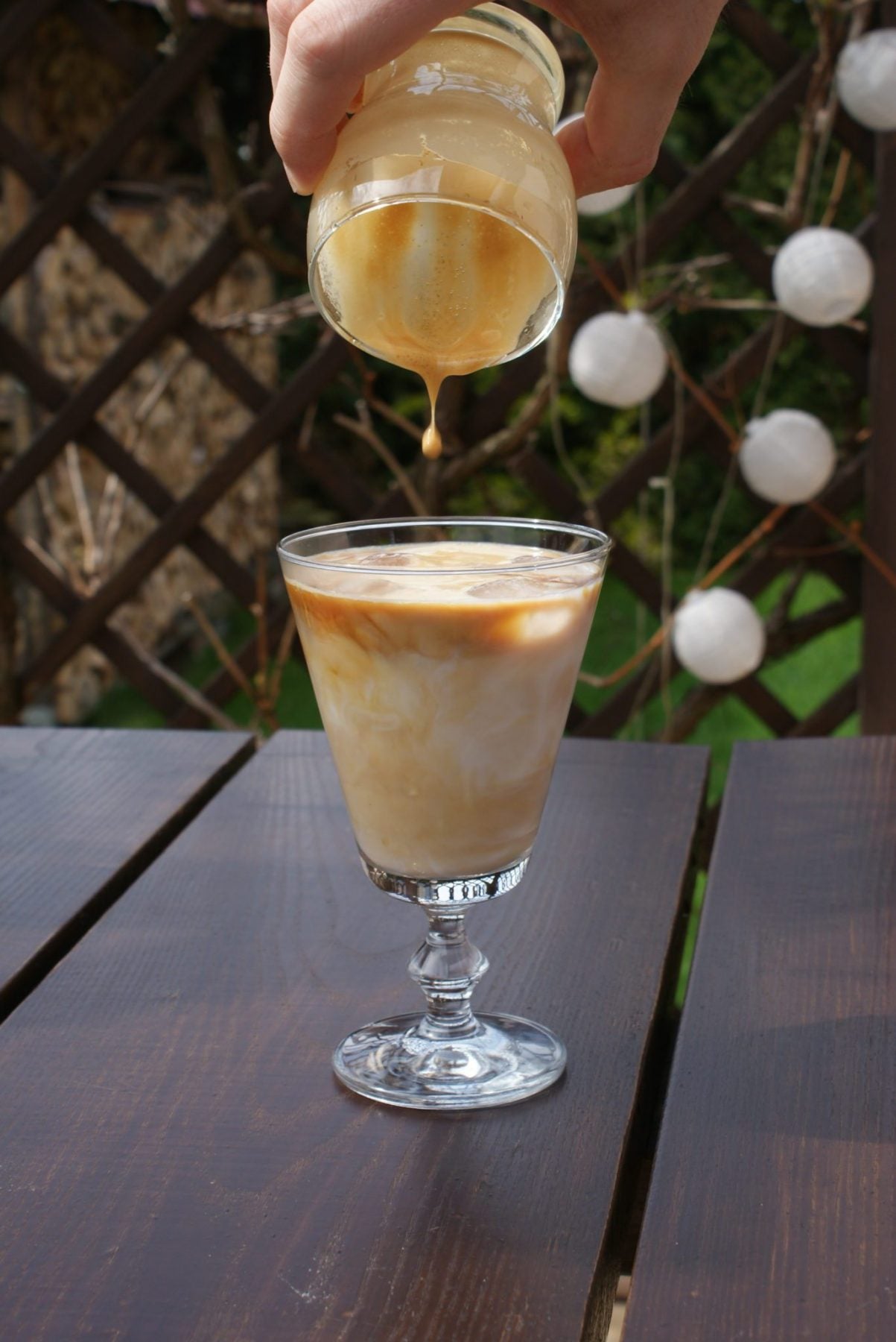 kawa mrożona, espresso, coffee plant