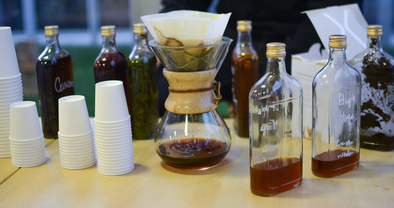 kawa - coffee plant - cold brew - java coffee