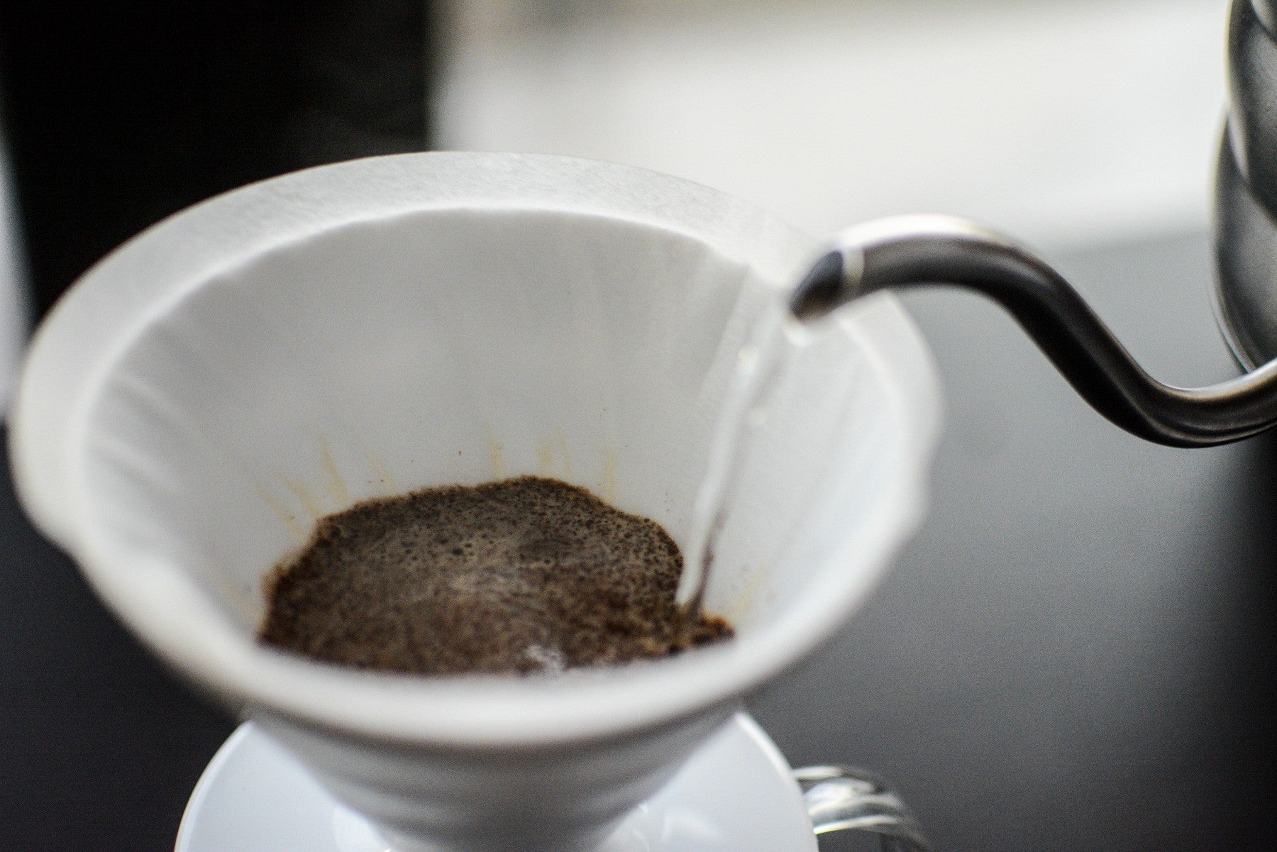 kawa - coffee plant - filtry do hario