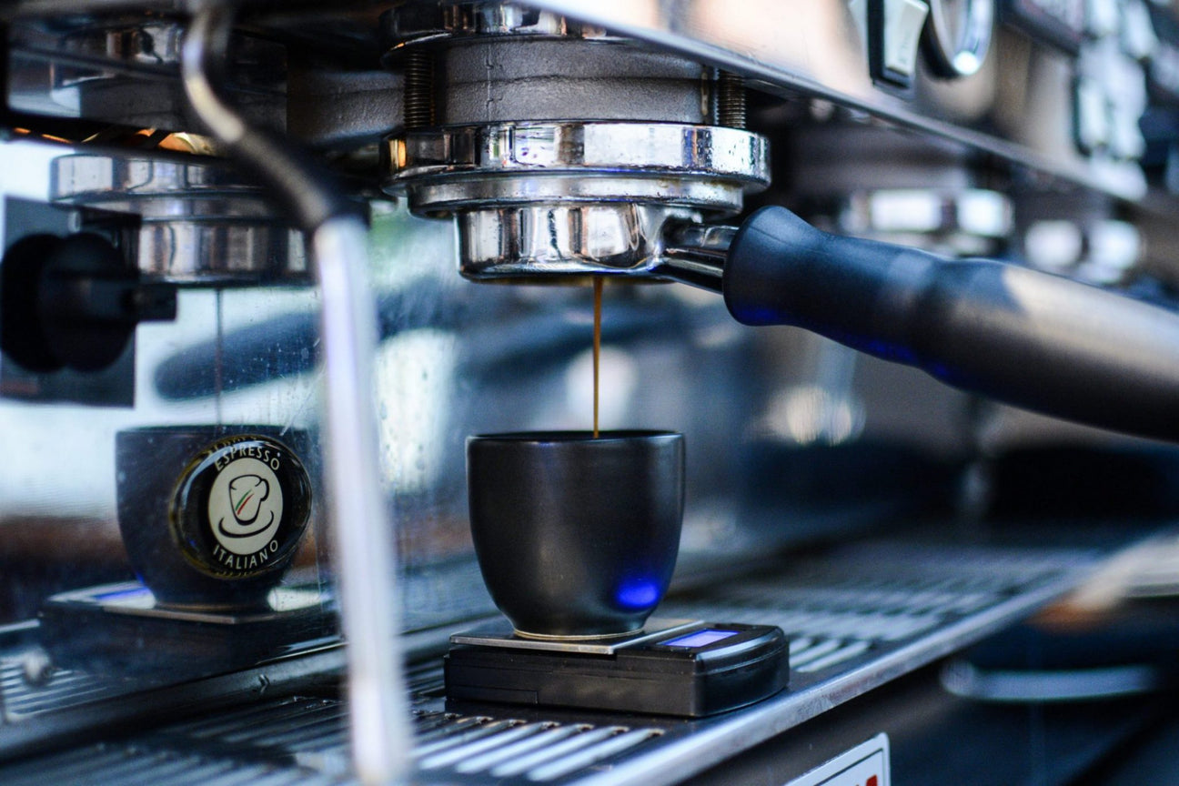 kawa - coffee plant - kawiarnia - balance specialty coffee