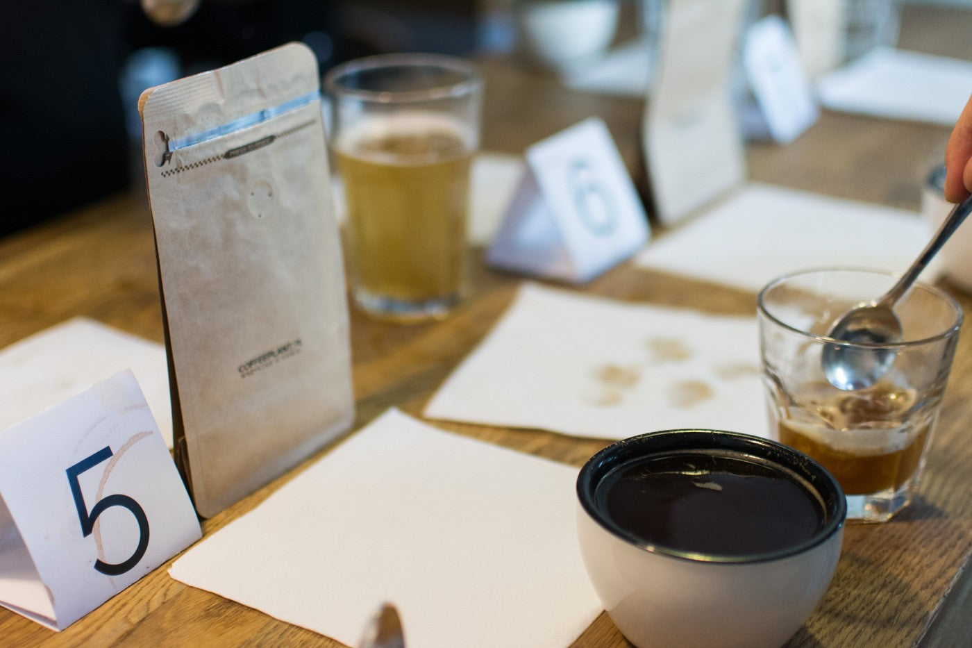 kawa - coffee plant - cupping - palarnie kawy