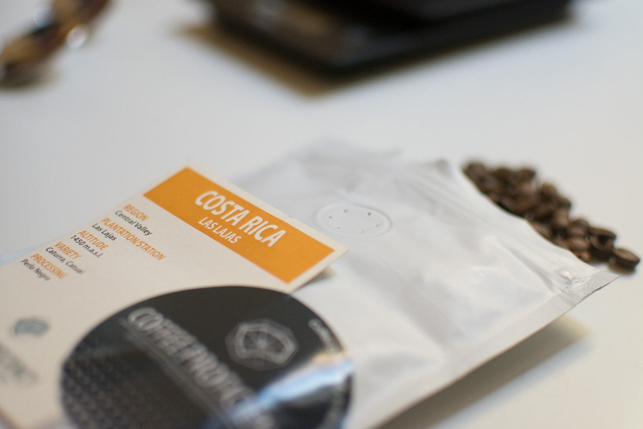 kawa - coffee plant - coffee proficiency