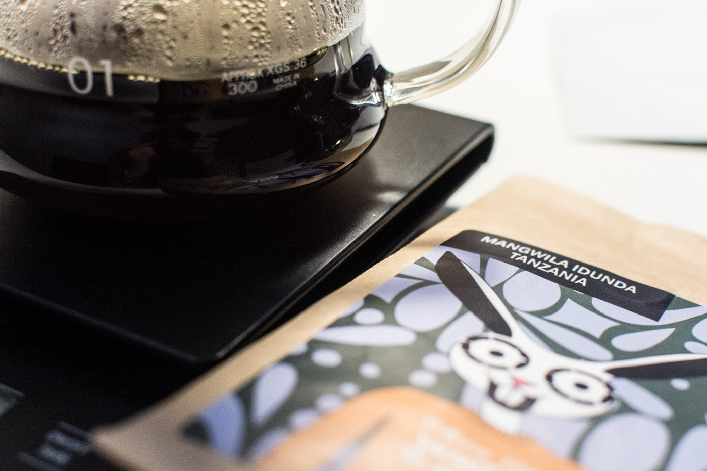 kawa - coffee plant - java coffee