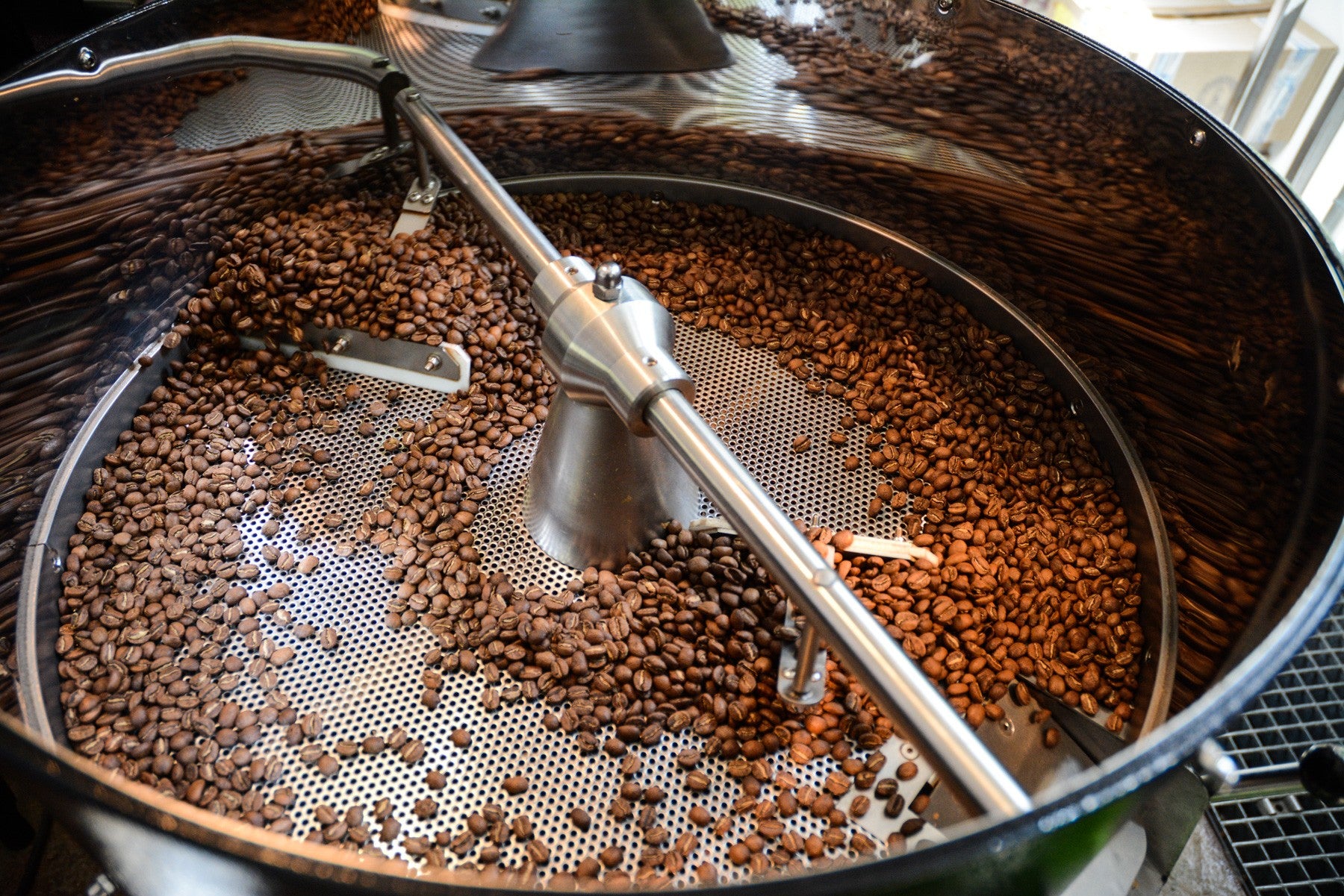 kawa - coffee plant - palarnie kawy