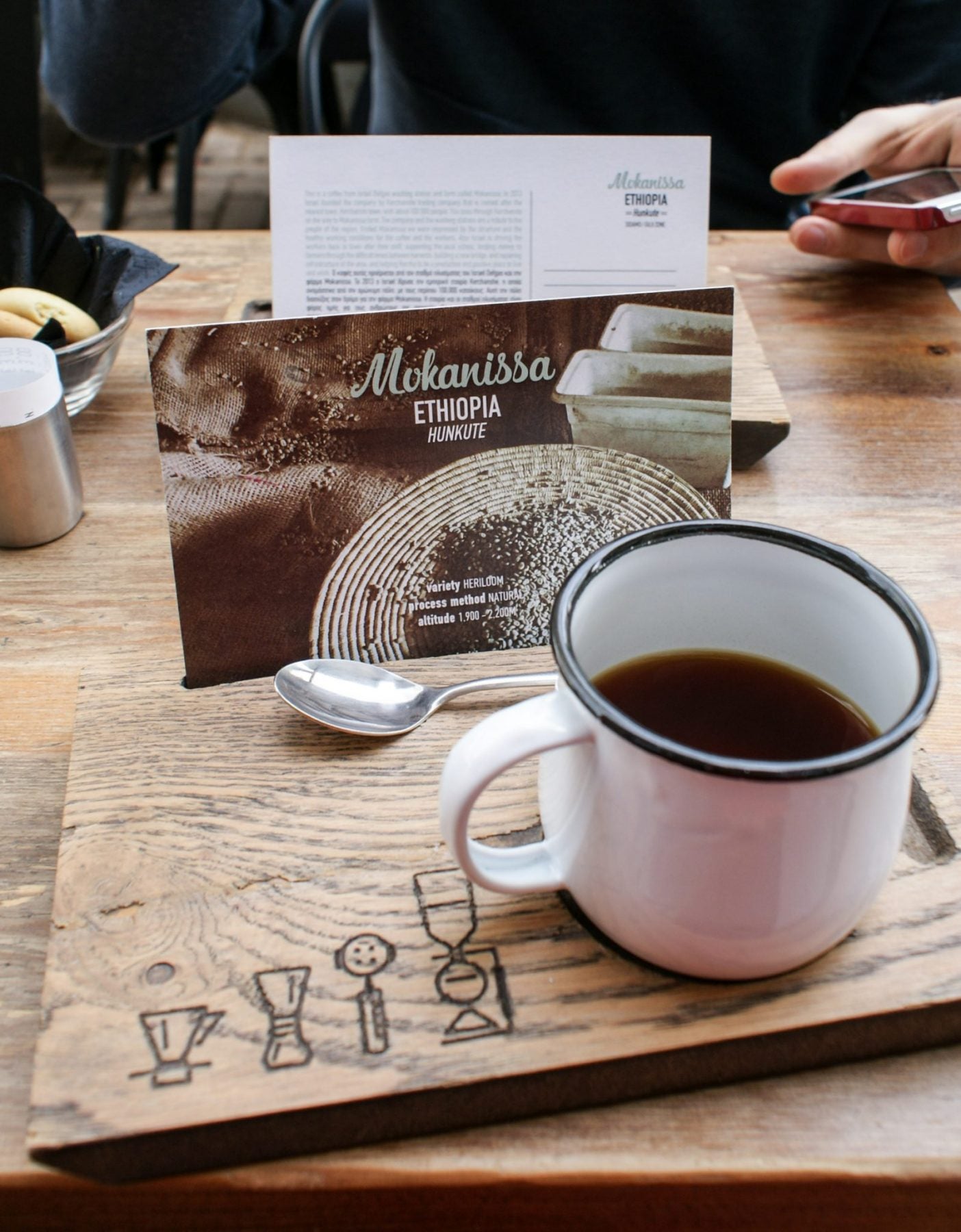 kawa - kawiarnia specialty - coffee plant