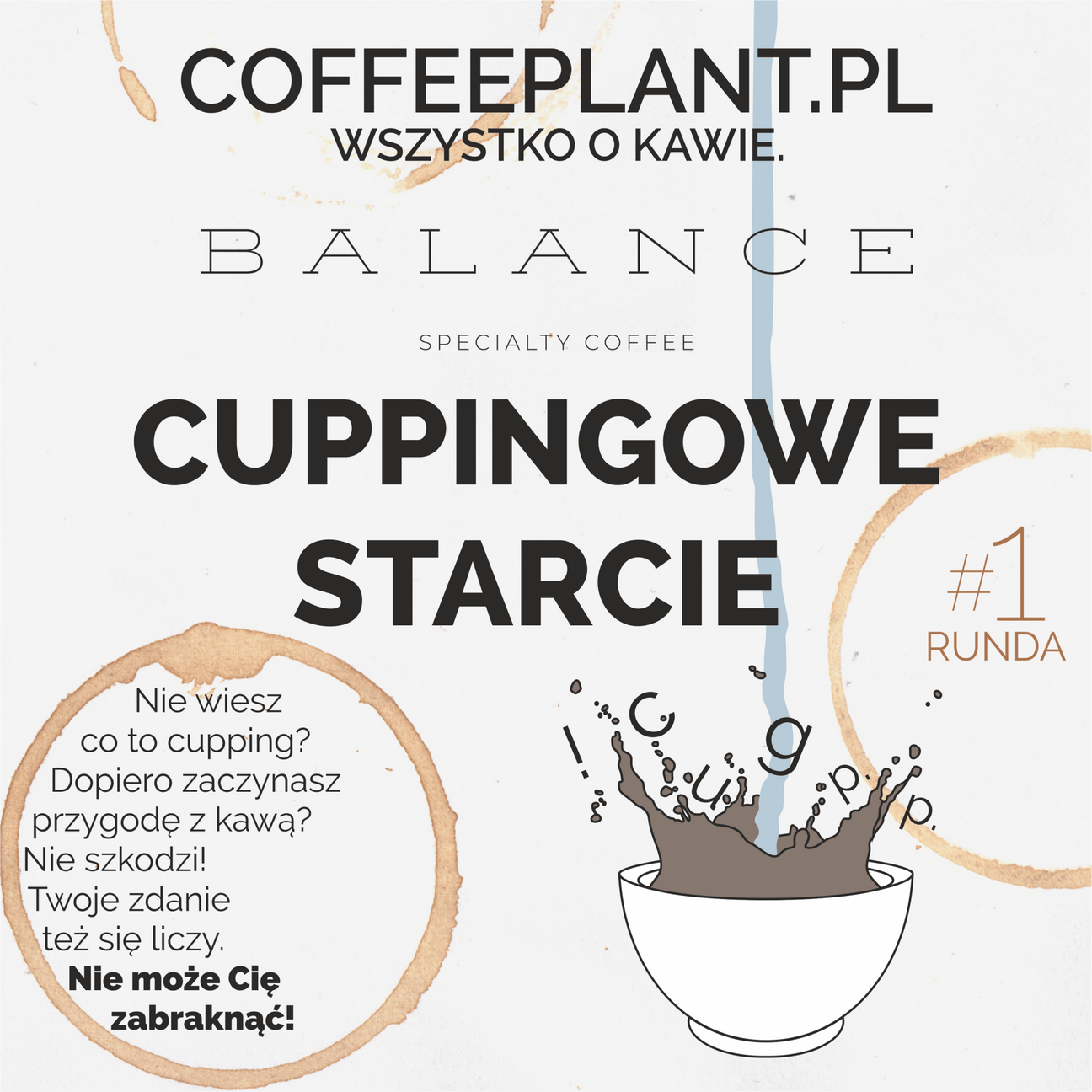 kawa - palarnie - coffee plant