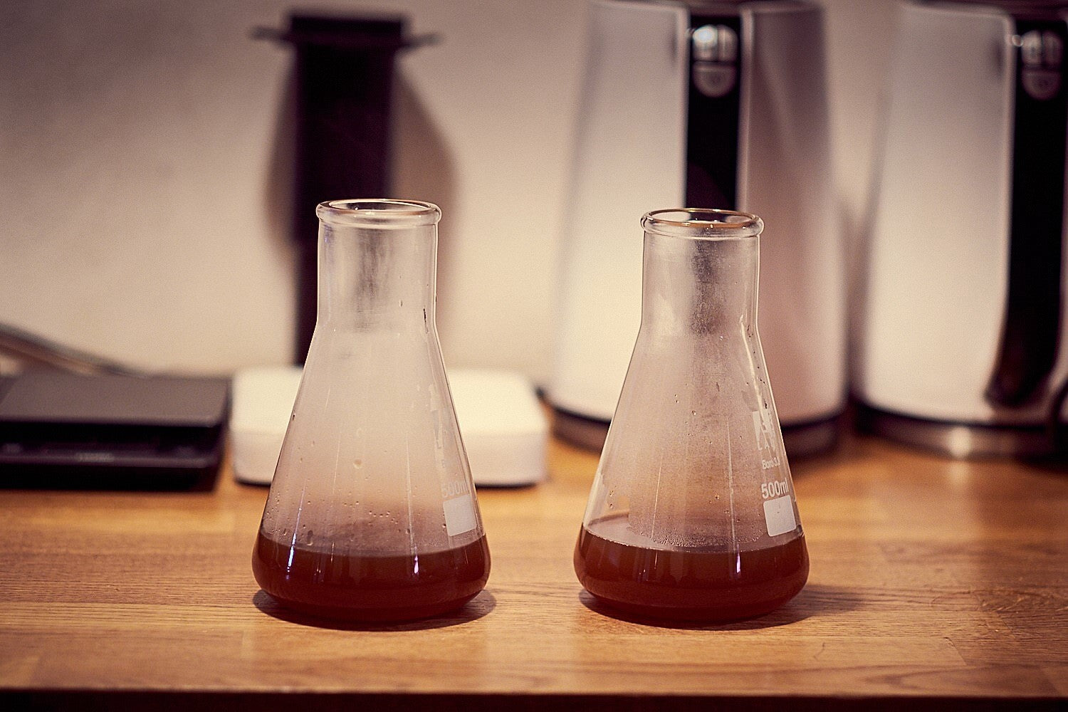 kawa - forum - coffee plant