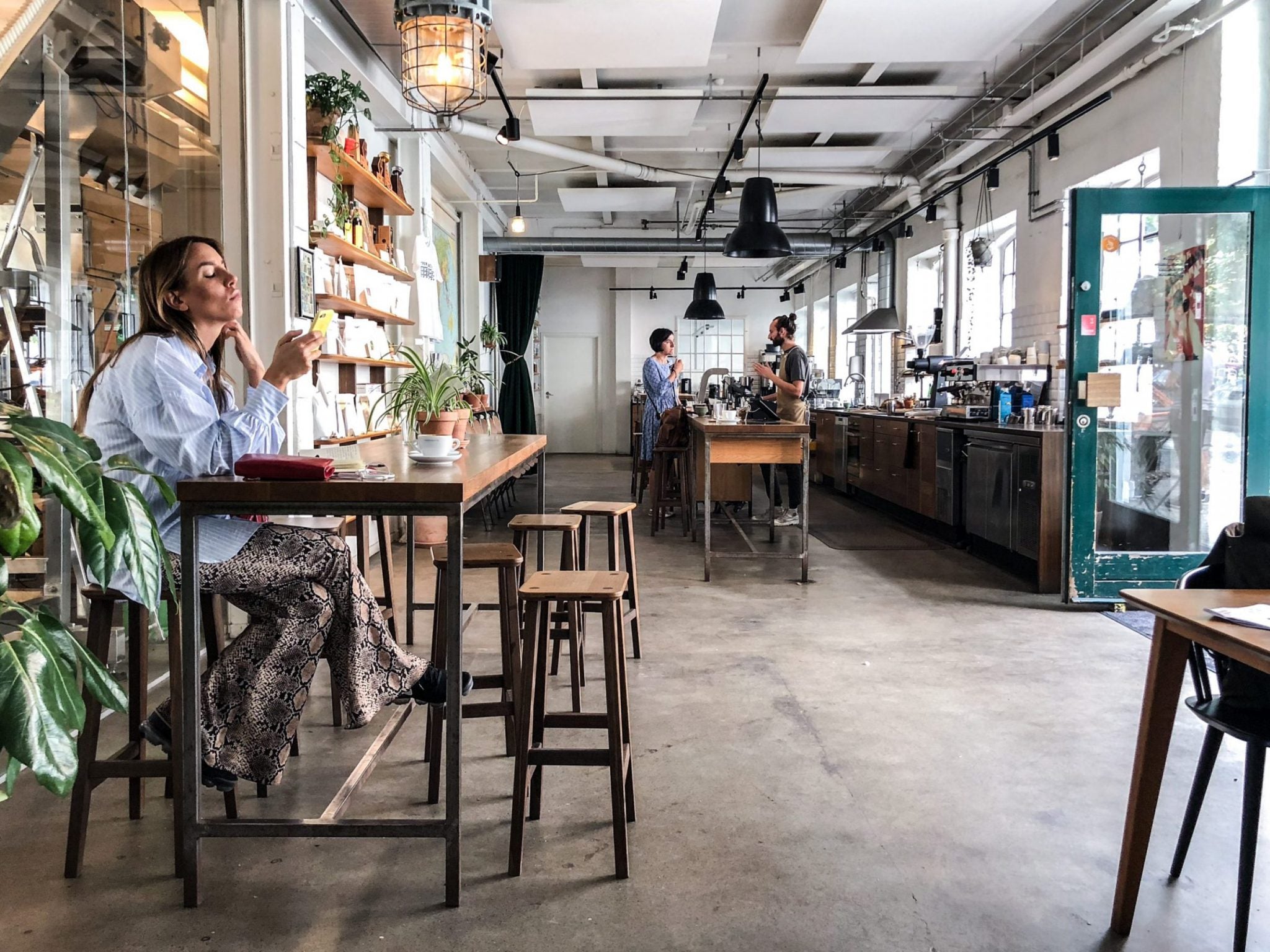 kawa - coffee plant - kawiarnia specialty