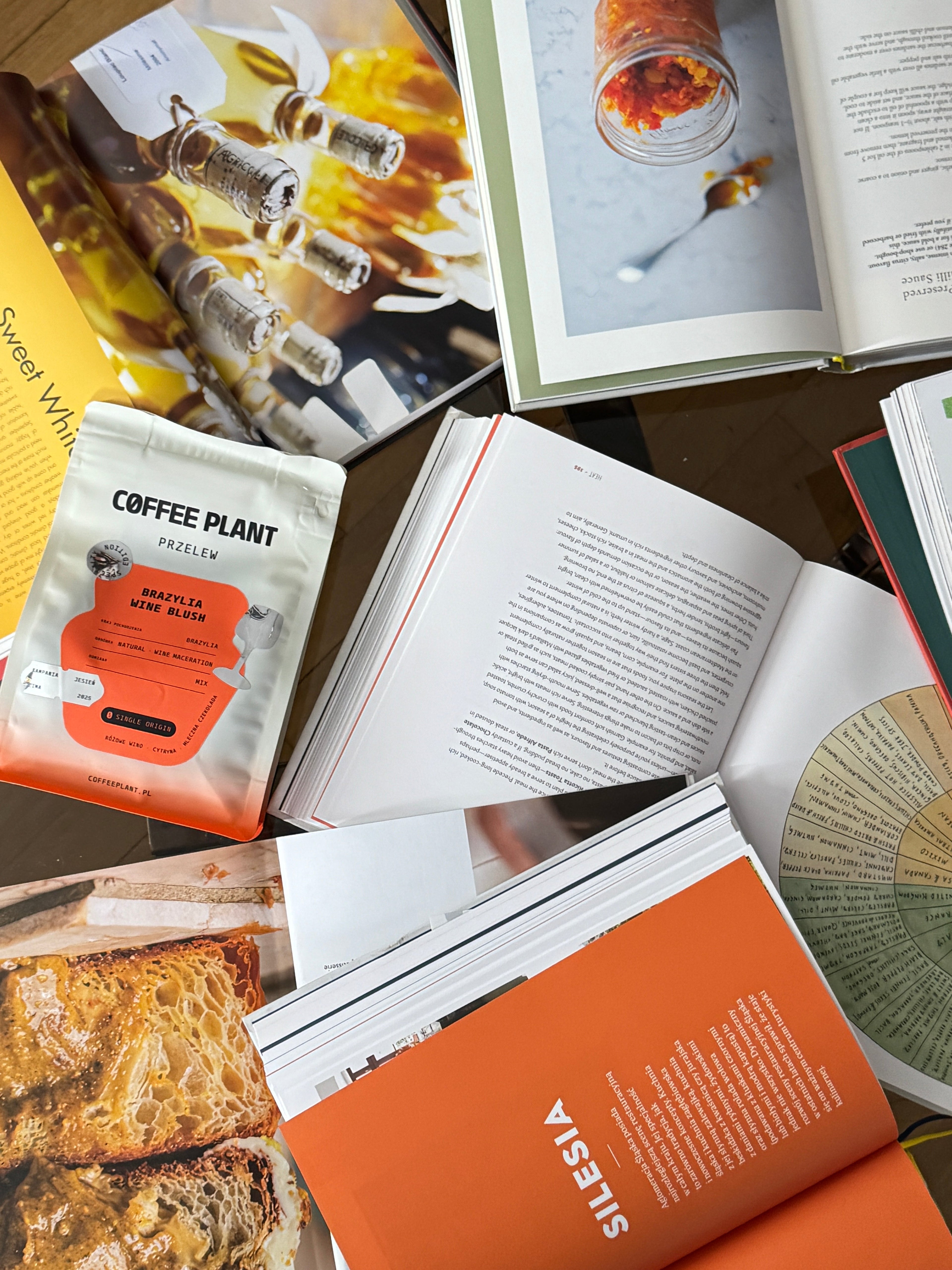SMAK, który łączy -  o czym jest kampania jesień / zima 2025 w COFFEE PLANT