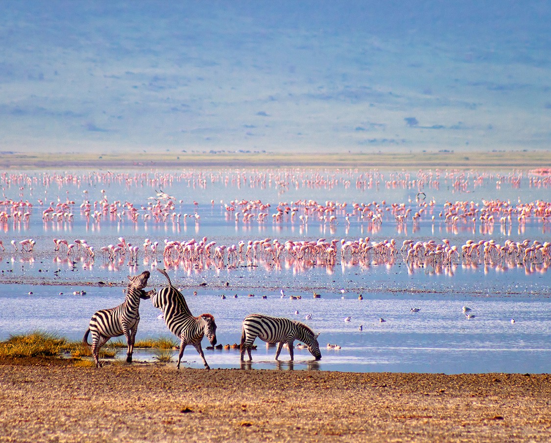 SEZON NA KAWĘ Z AFRYKI