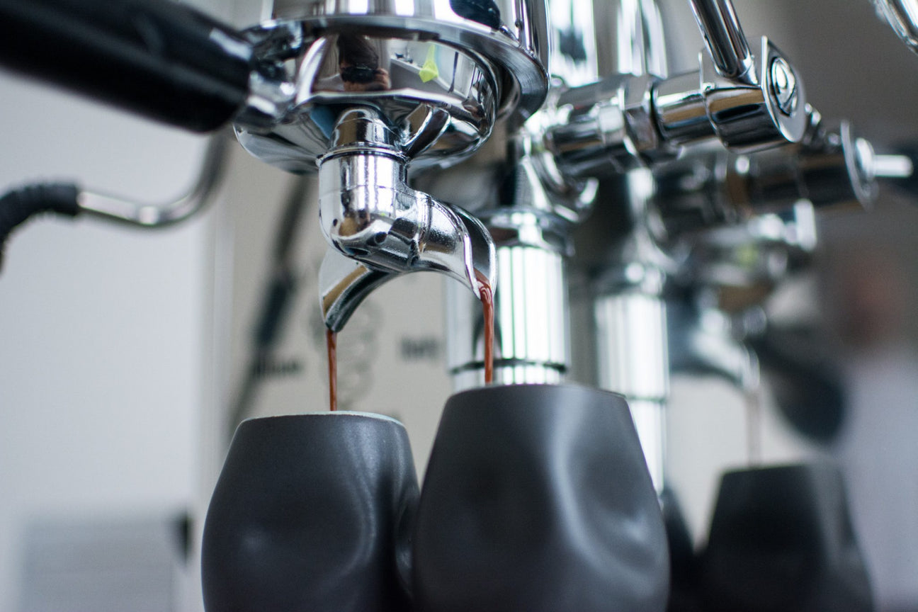 bezzera magica - kawa - coffee plant