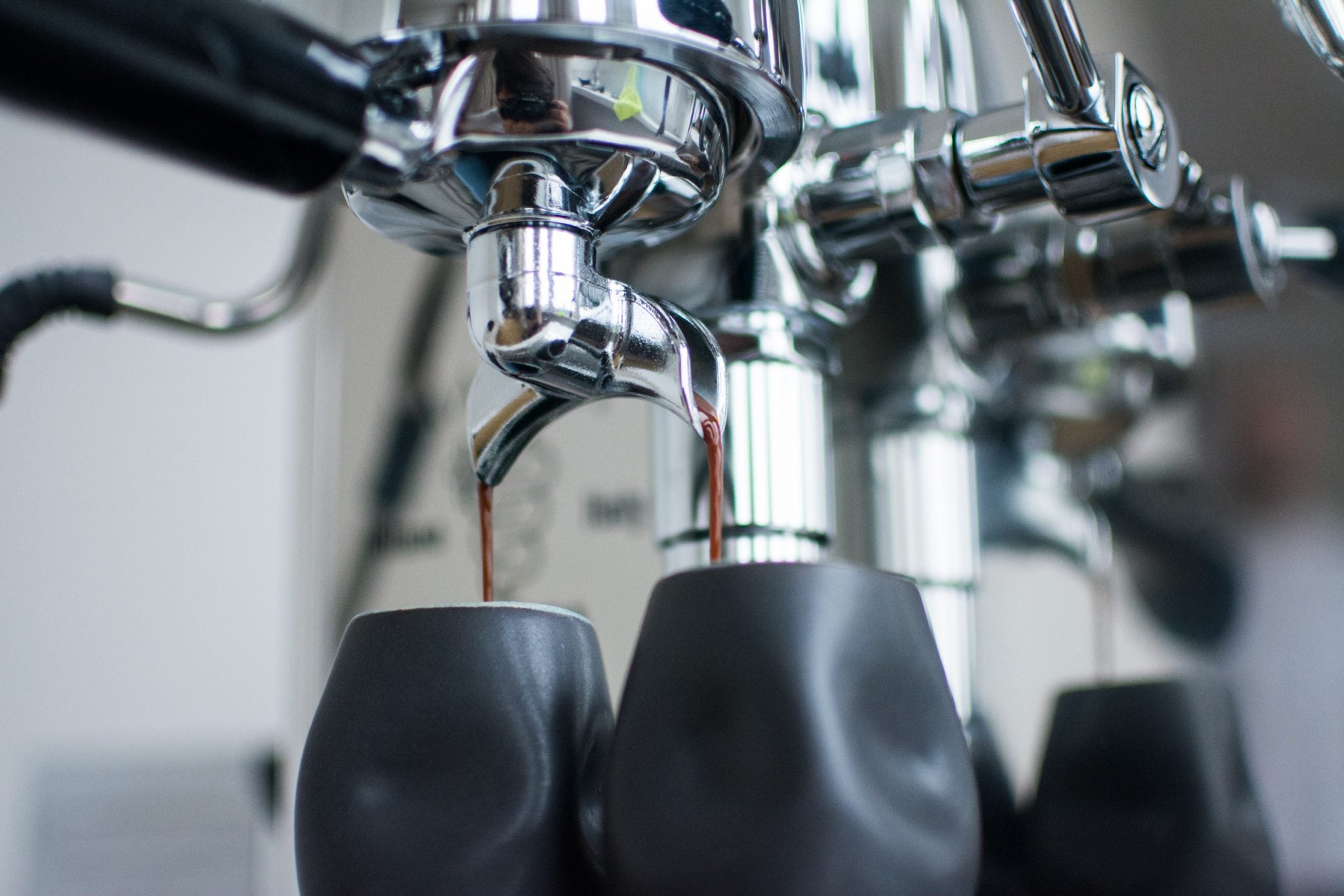 bezzera magica - kawa - coffee plant