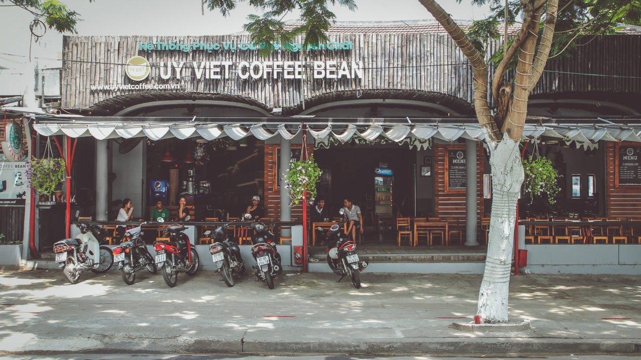 kawa - kawiarnia - coffee plant