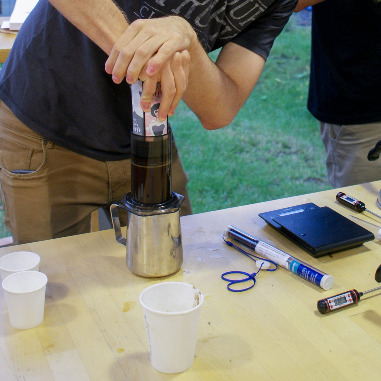 kawa - java coffee - coffee plant