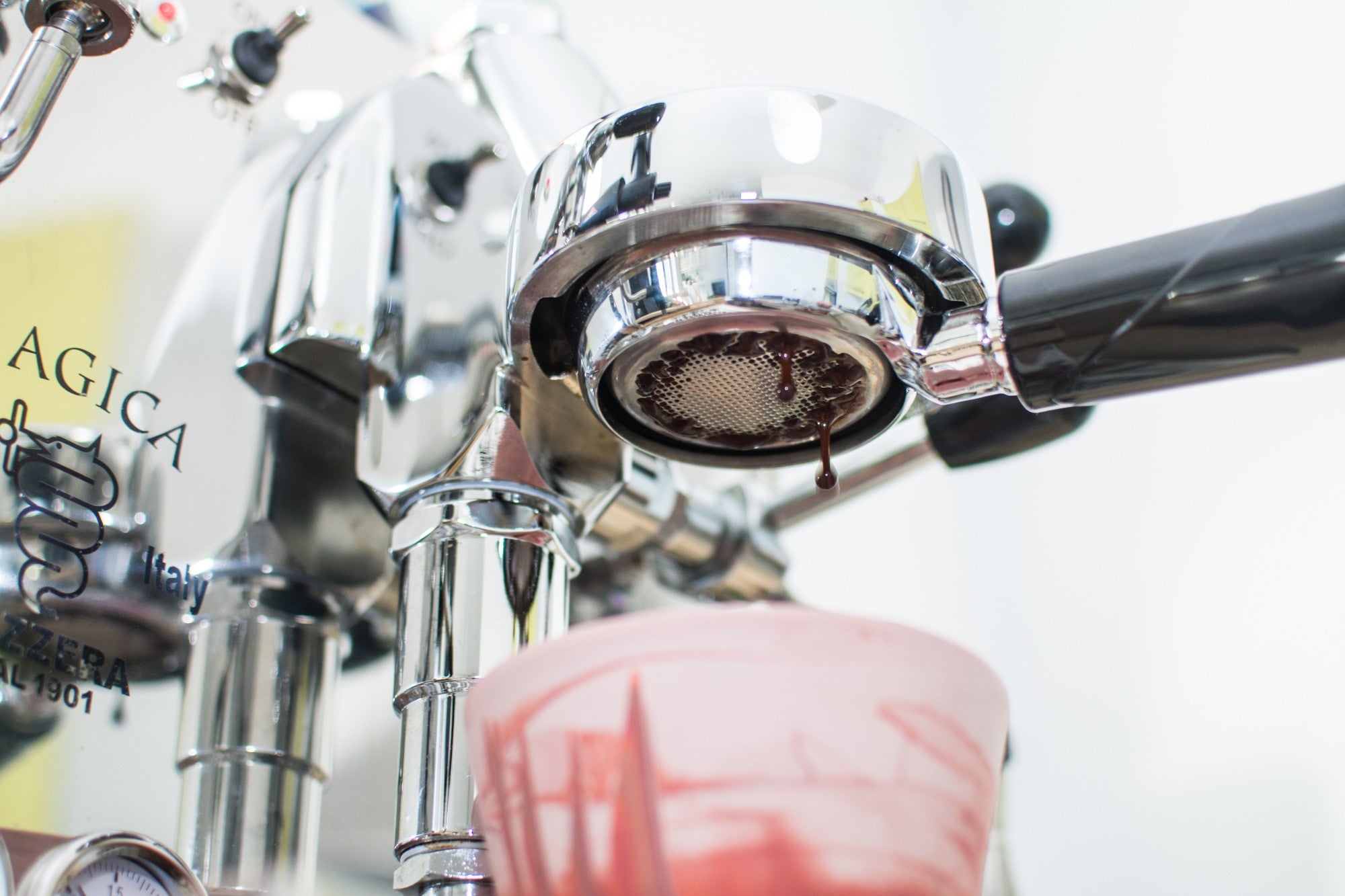 kawa - coffee plant - naga kolba