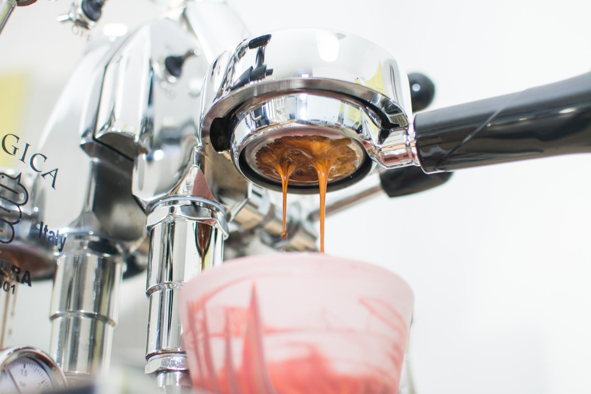 naga kolba - kawa - coffee plant - espresso