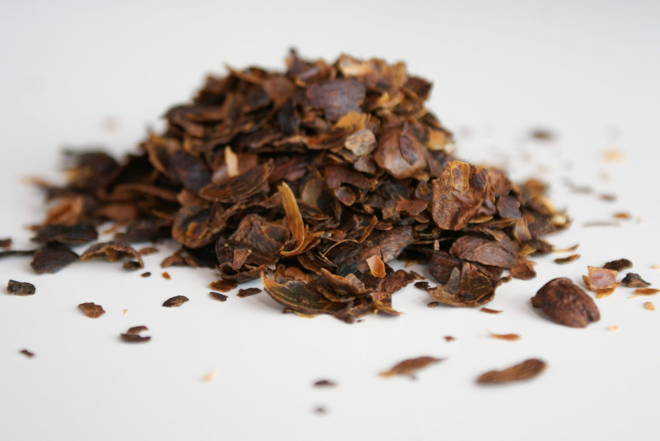 cascara - kawa - coffee plant