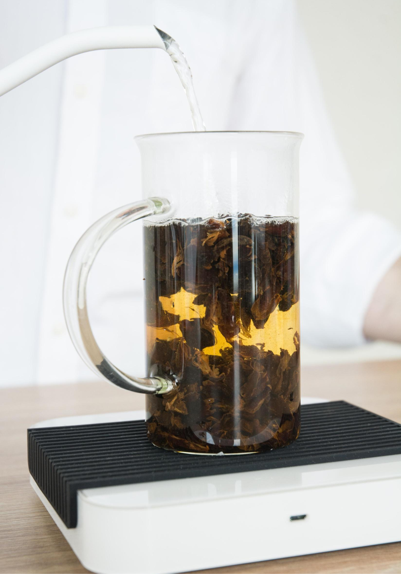 Cascara Hacienda Sonora