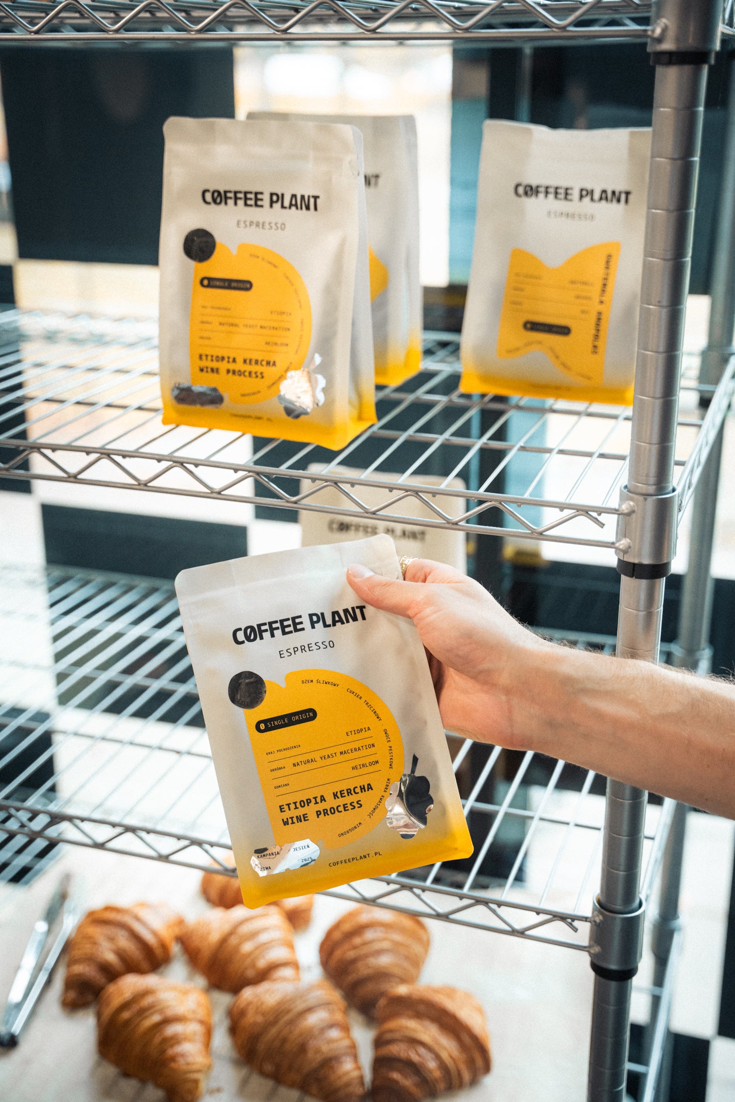 Etiopia Kercha Wine Process