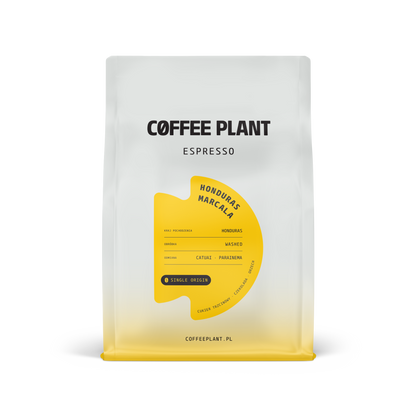 Honduras Marcala