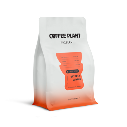 Etiopia Sidamo