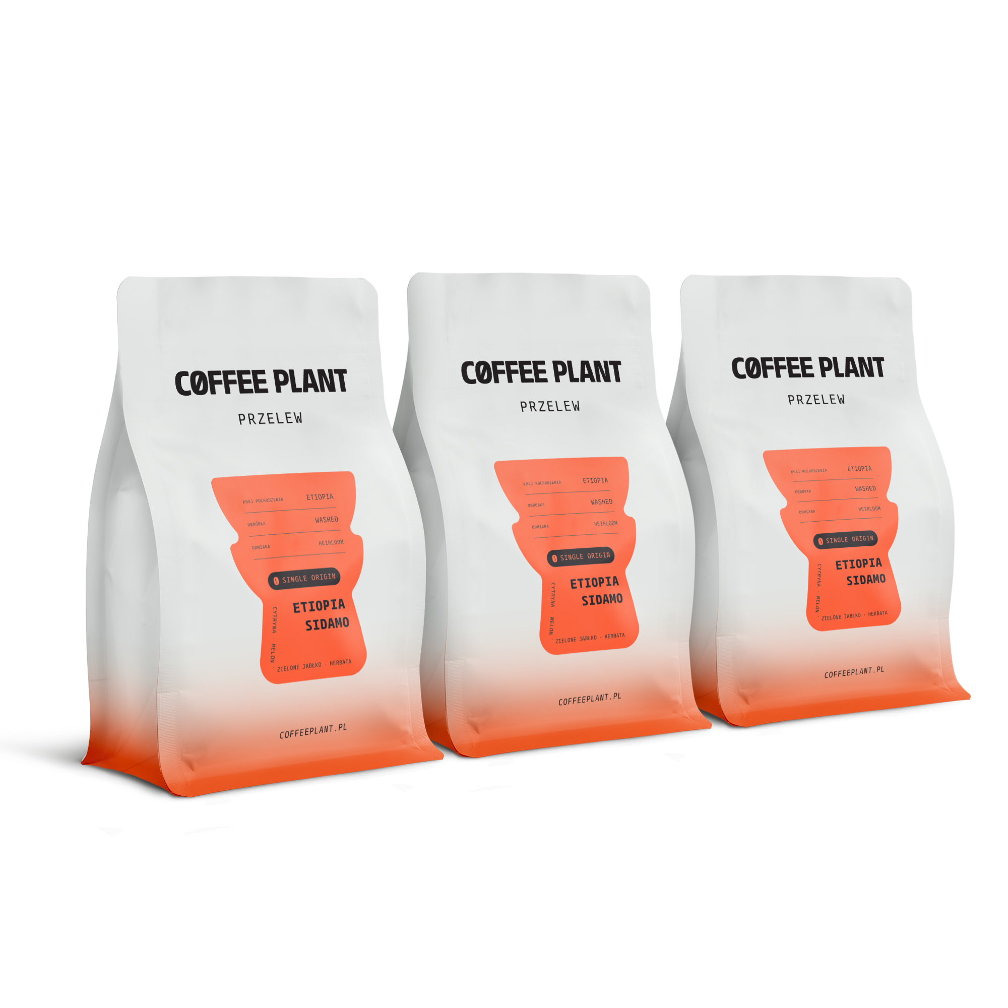 Etiopia Sidamo