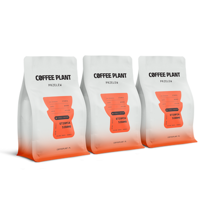Etiopia Sidamo