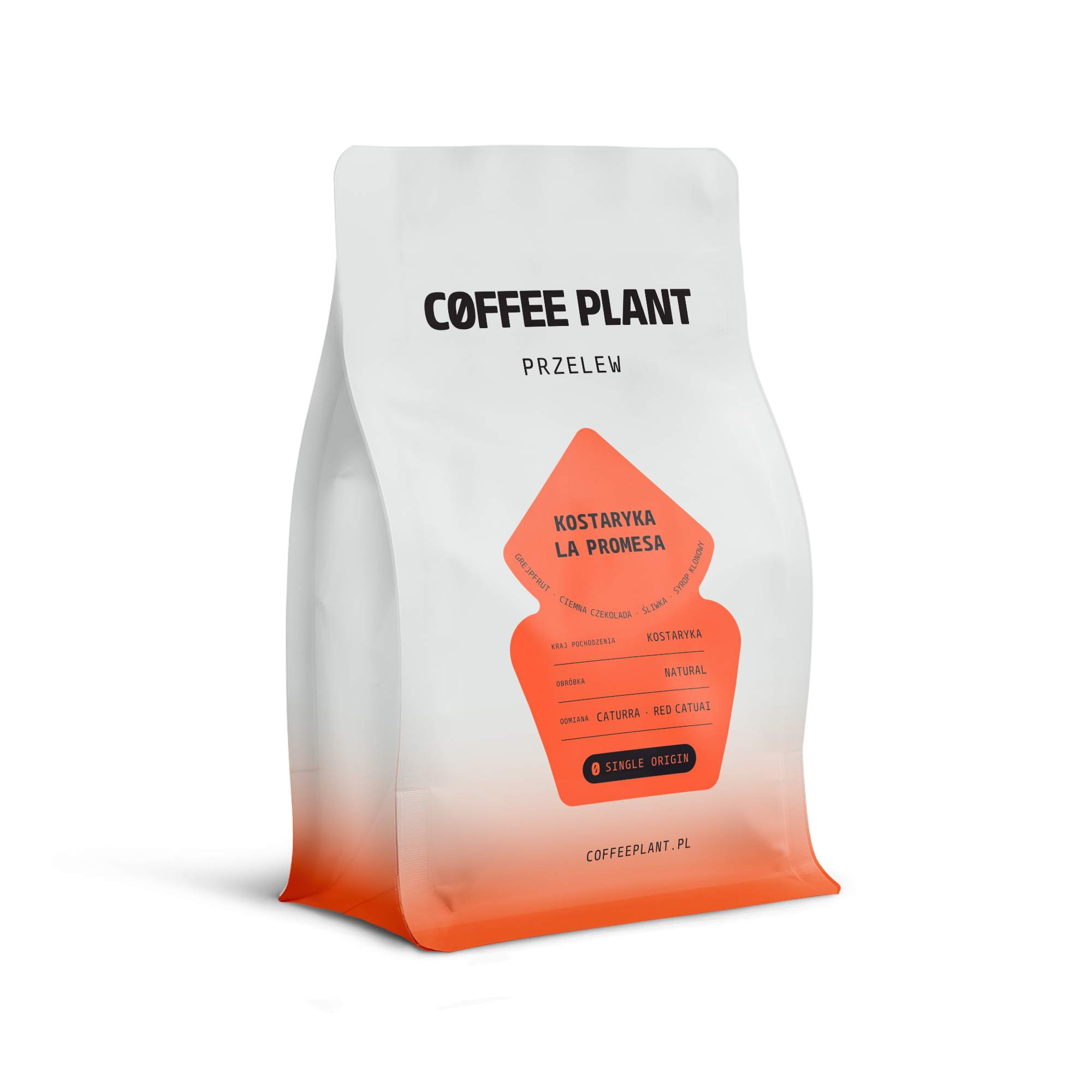 Kostaryka La Promesa