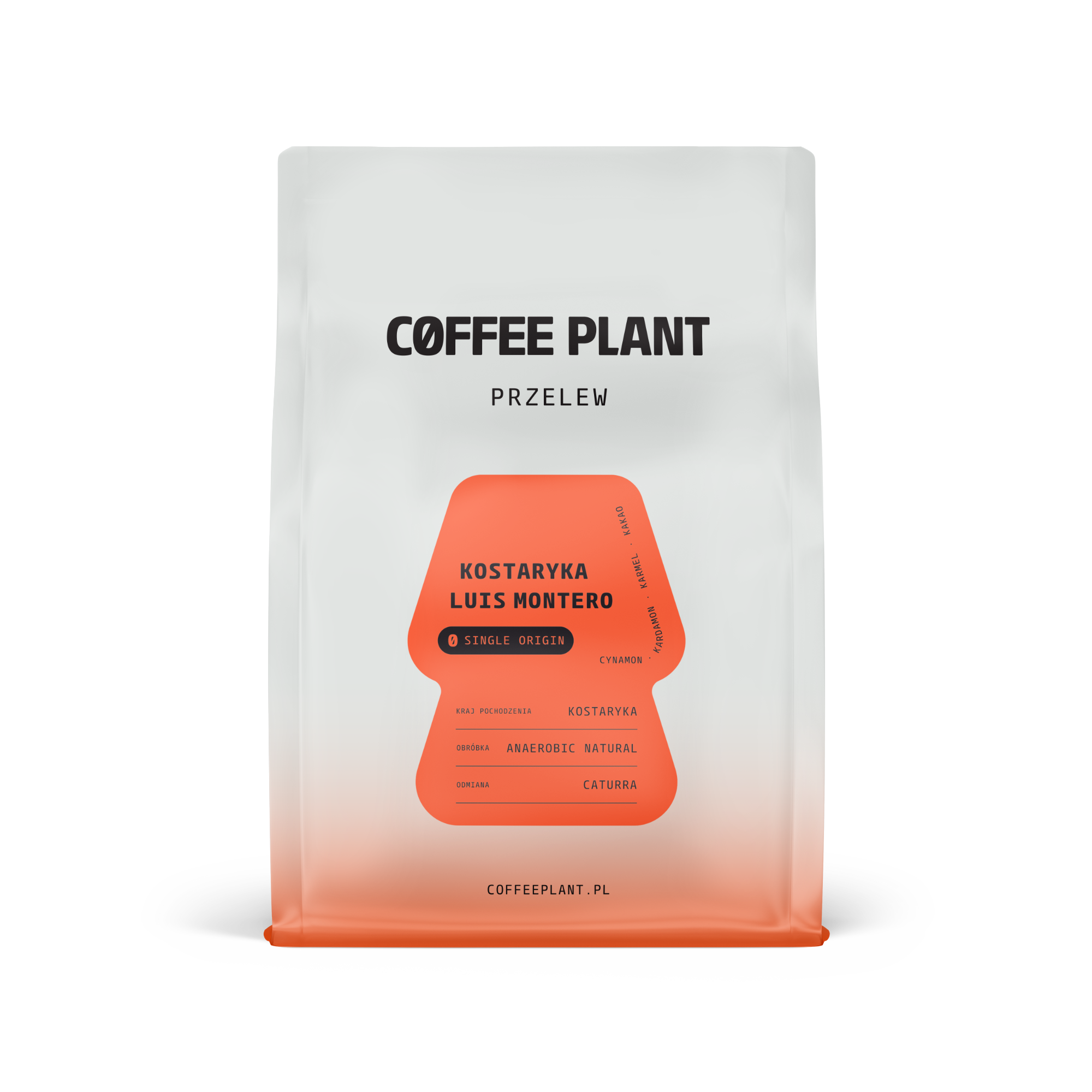 Kostaryka Luis Montero