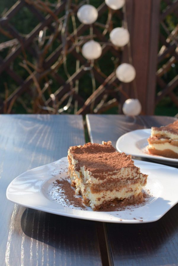 tiramisu - kawa - coffee plant