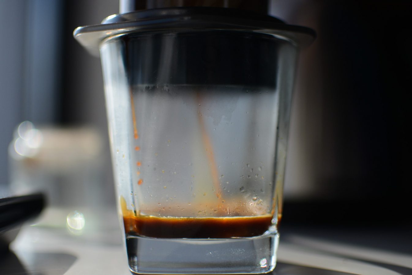 kawa - coffee plant - espresso - aeropress - prismo