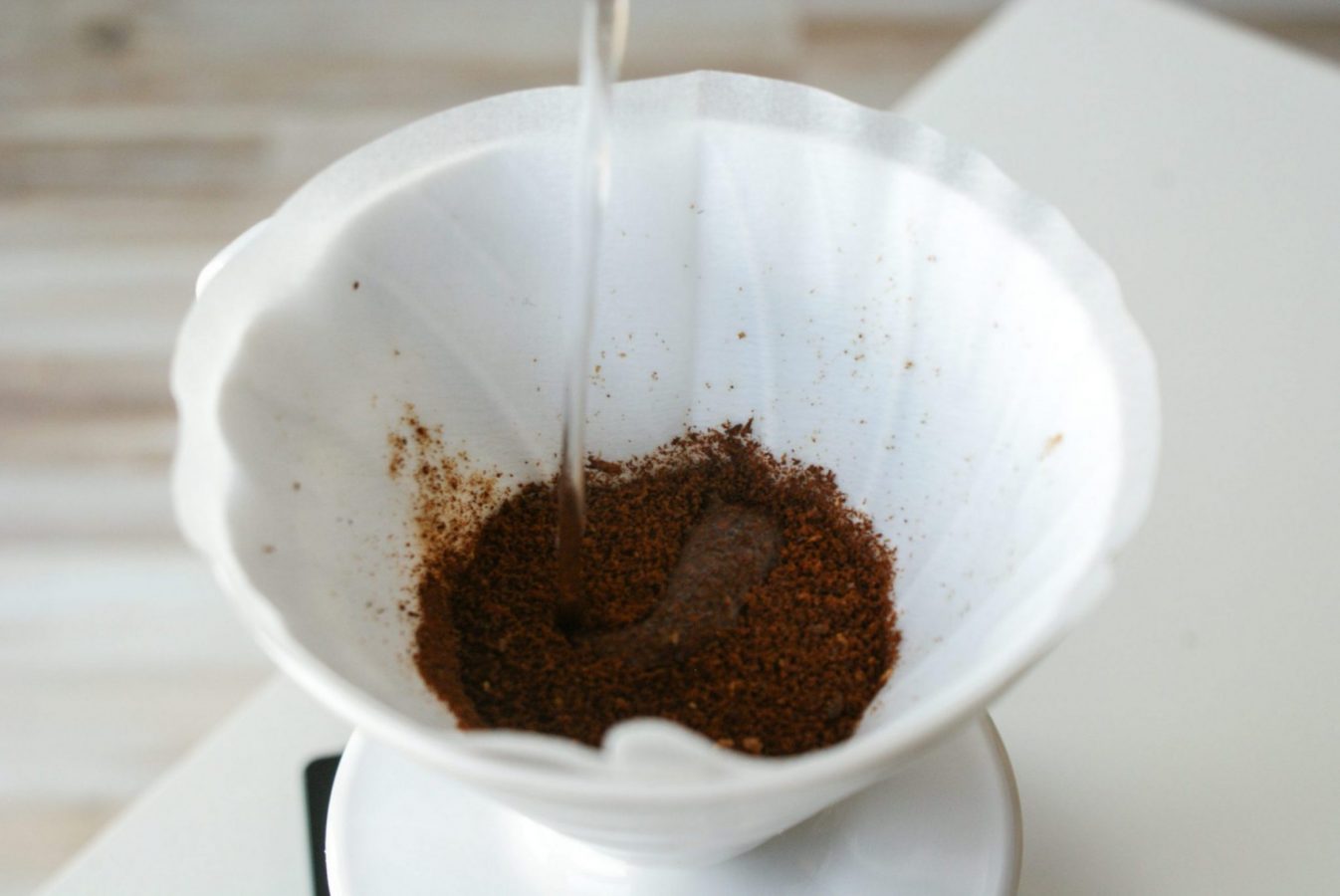 kawa - coffee republic - coffee plant