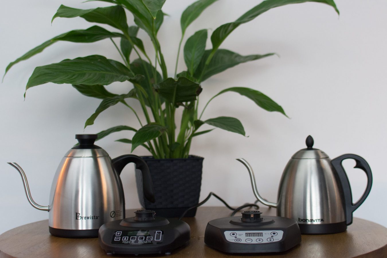 kawa - coffee plant - bonavita - brewista
