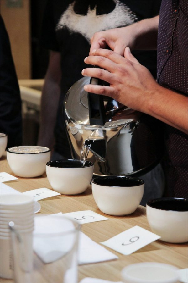 kawa - coffee plant - cupping