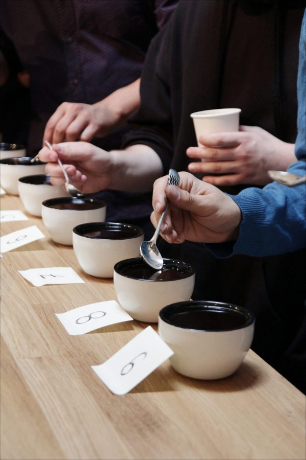 kawa - coffee plant - cupping