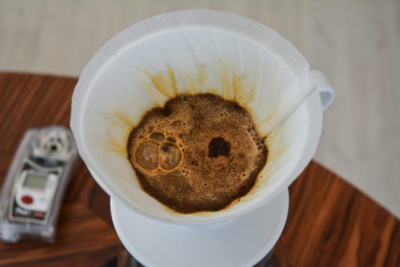 refraktometr - kawa - coffee plant