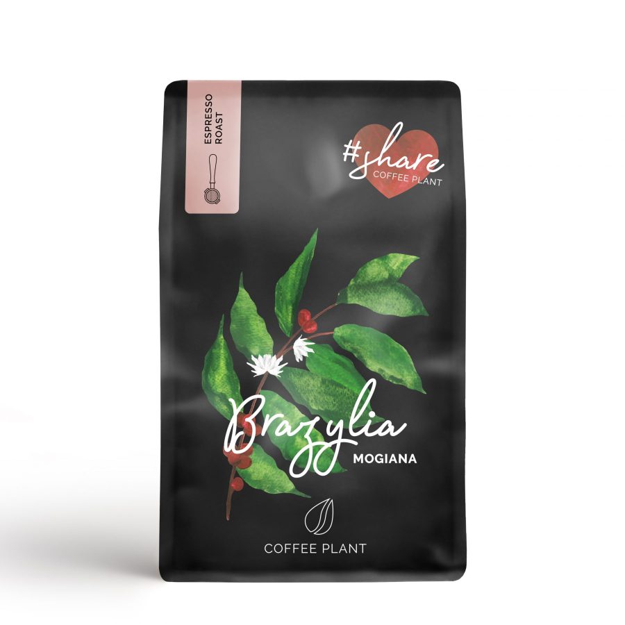 brazylia mogiana - kawa - kawiarka - coffee plant