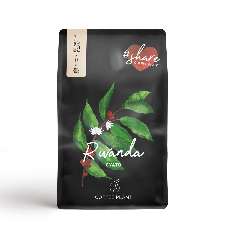 rwanda - kawa - coffee plant - kawiarka