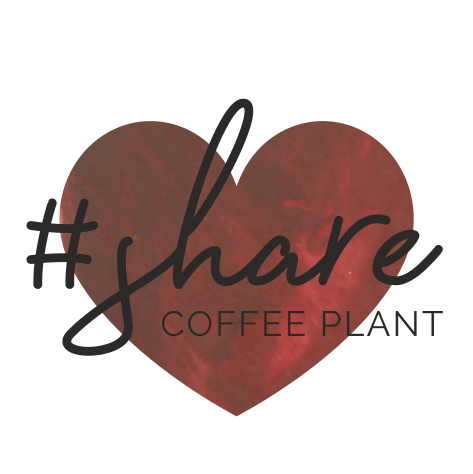share - coffee plant - kawa