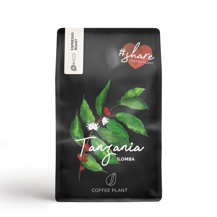 tanzania - kawa - coffee plant - kawiarka