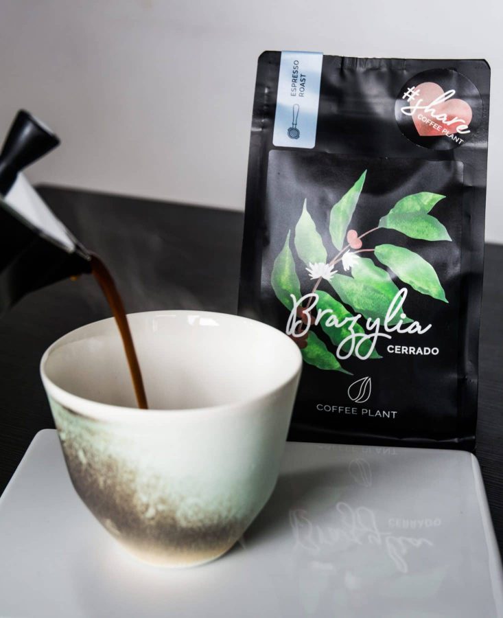 kawa - coffee plant - kawiarka