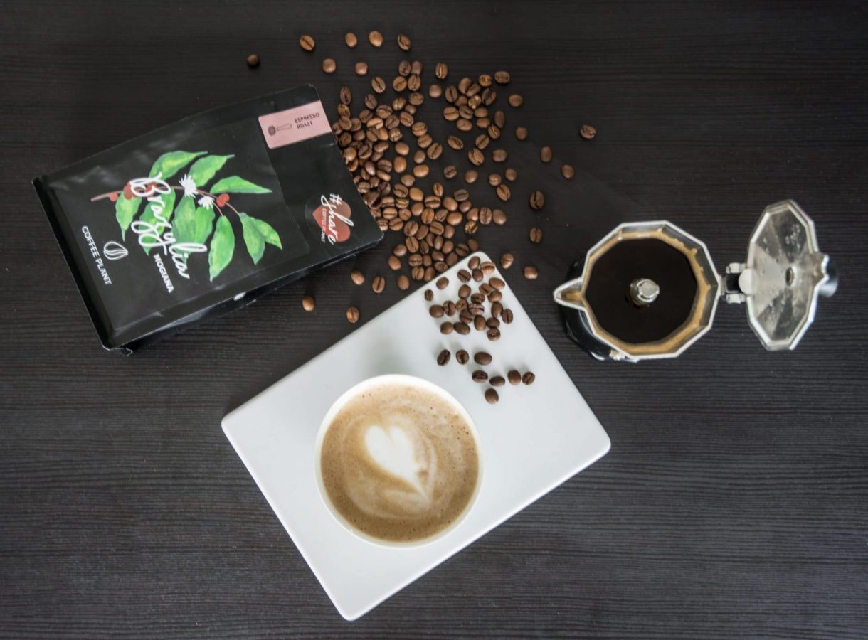 kawa - kawiarka - coffee plant