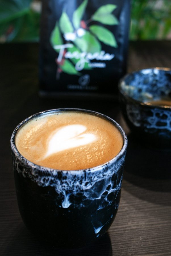 kawa - coffee plant - kubek do kawy
